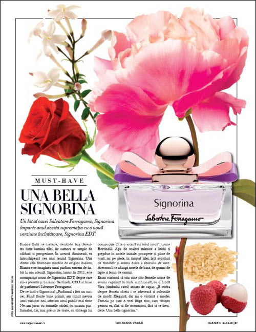 signorina